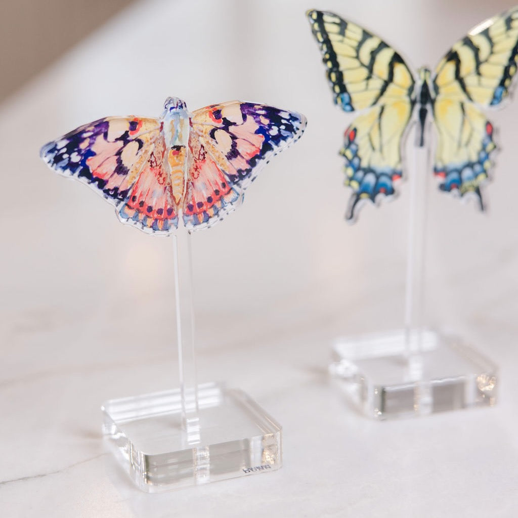 Floating Painted Lady Butterfly