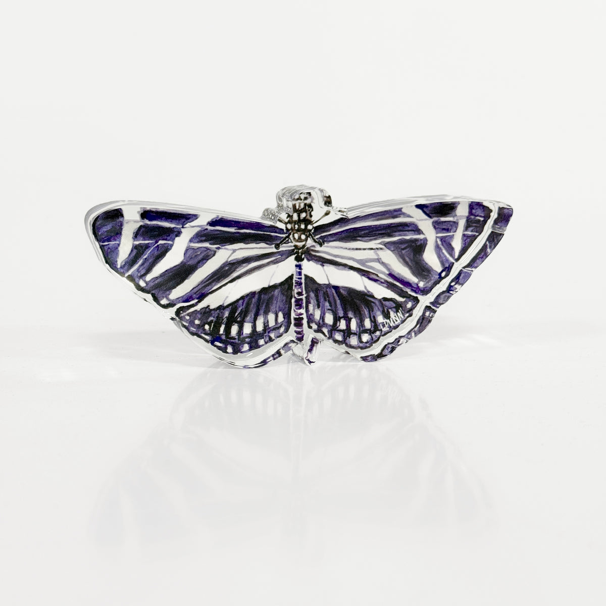 Zebra Butterfly Acrylic