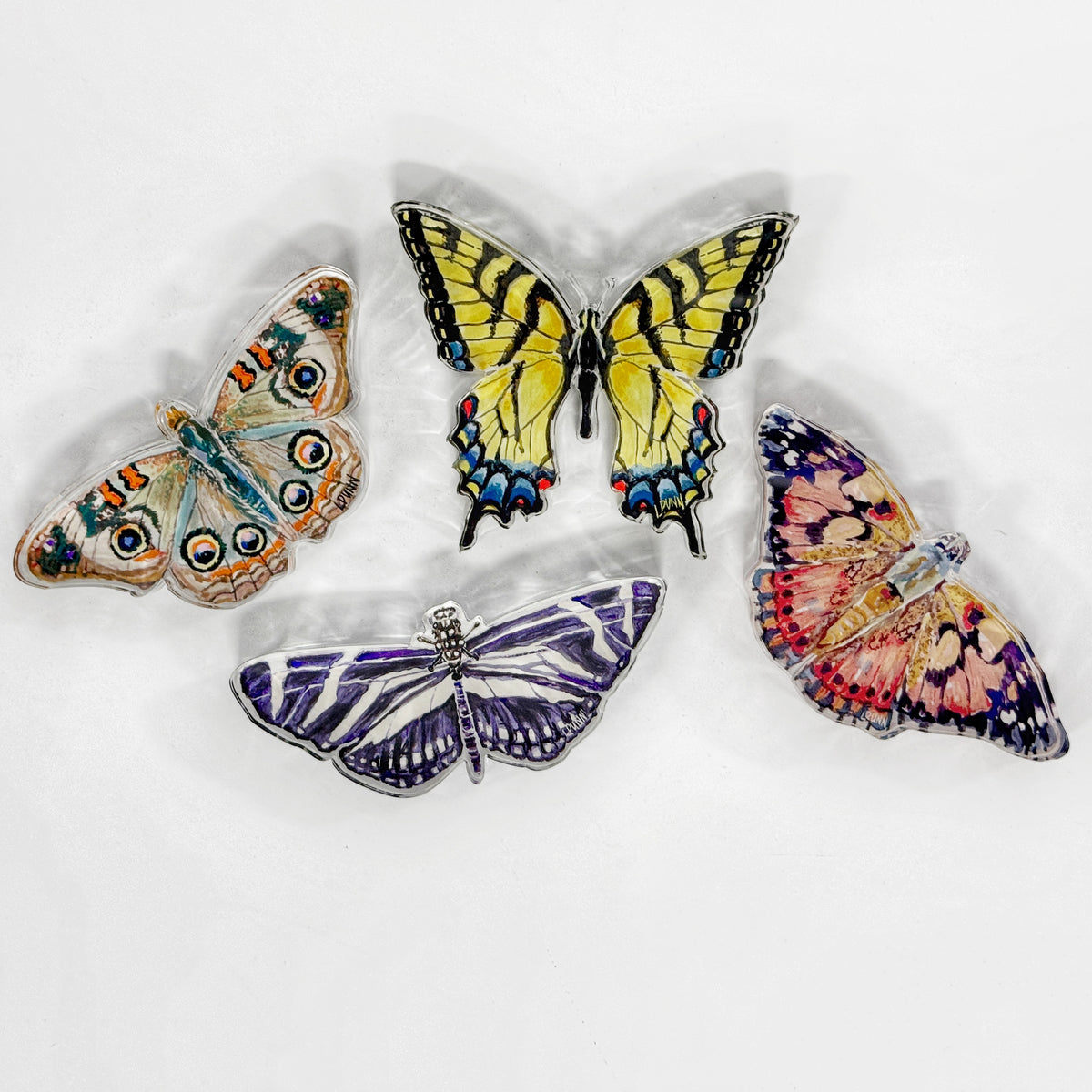 Buckeye Butterfly Acrylic