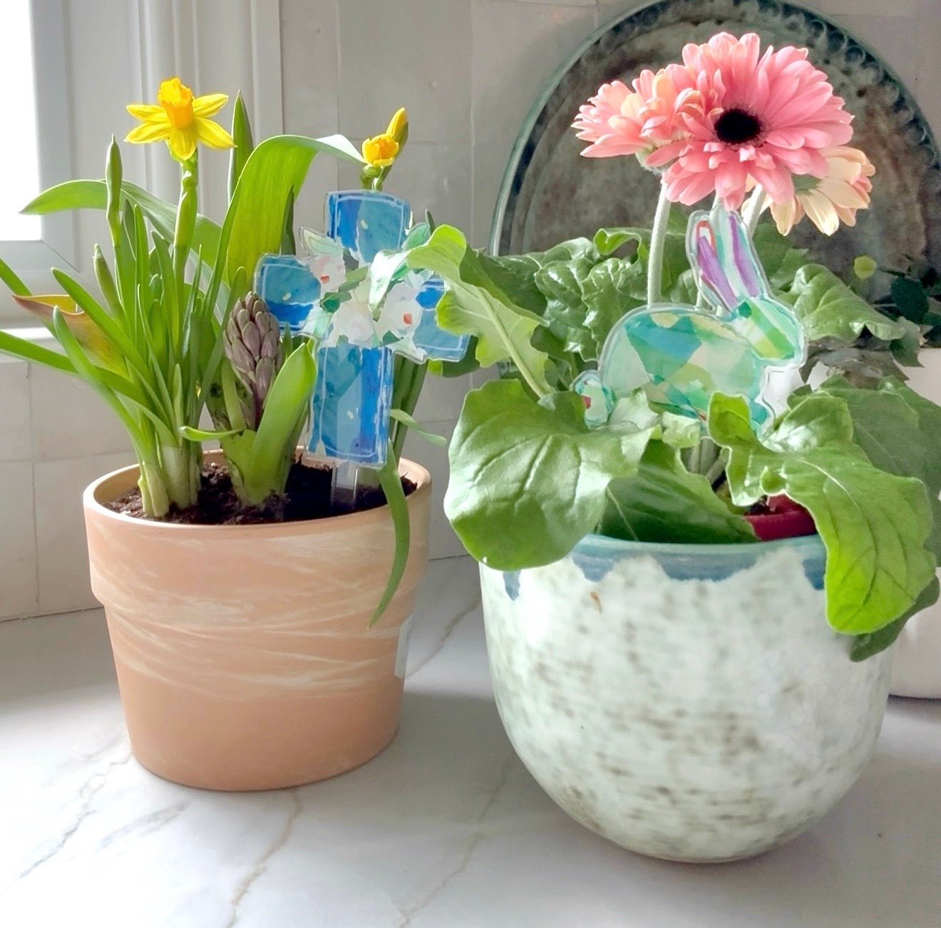 BLUE CROSS PLANT STICK