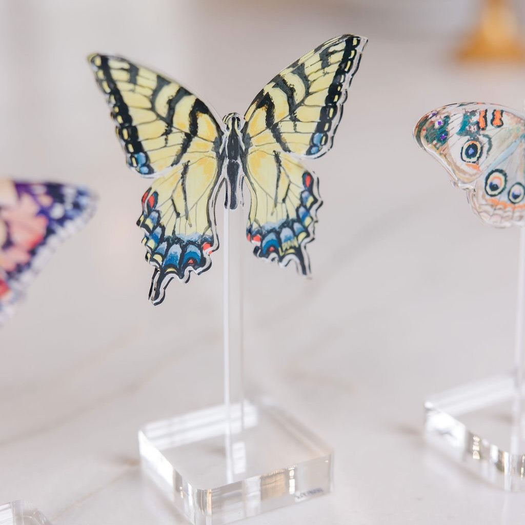 Floating Swallowtail Butterfly