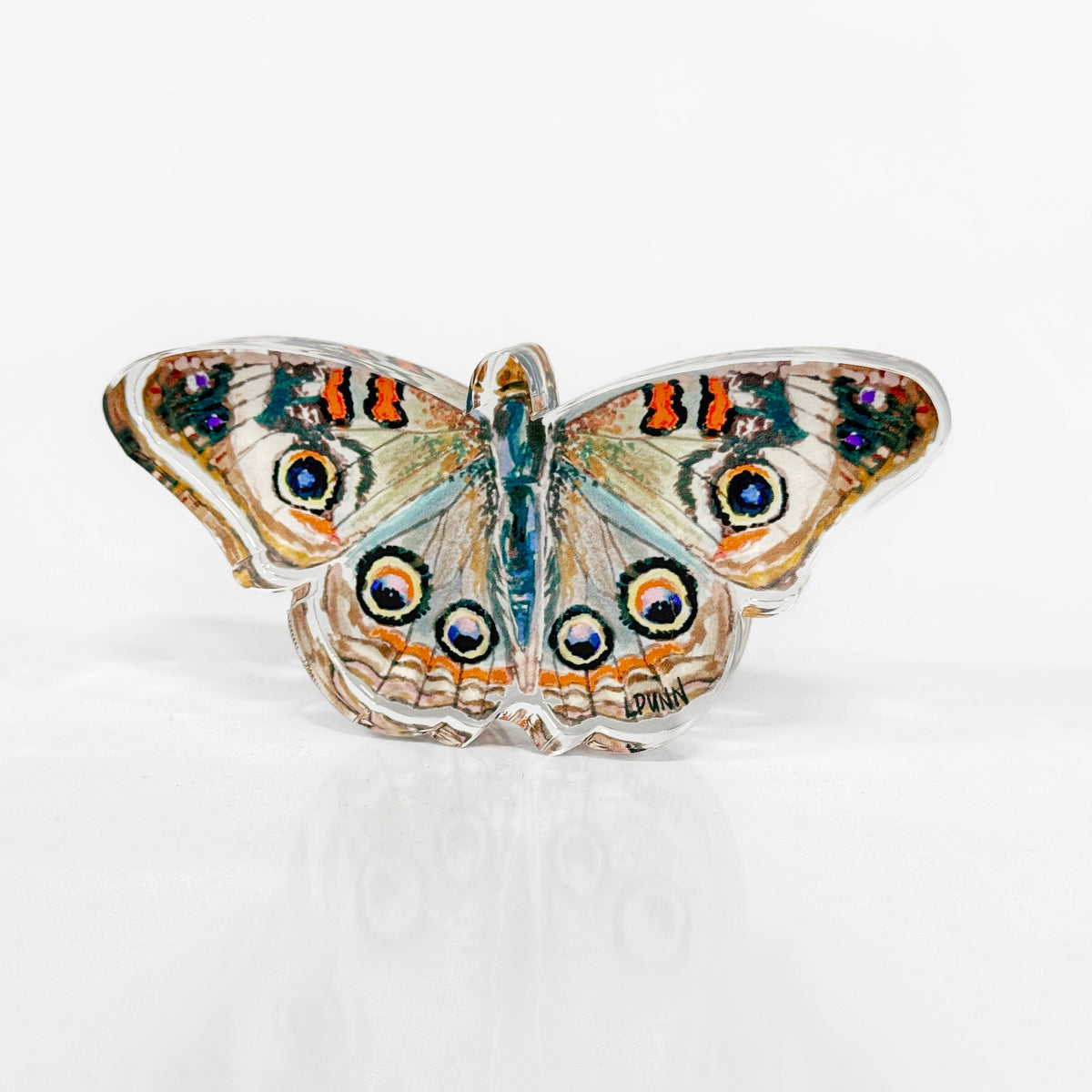 Buckeye Butterfly Acrylic