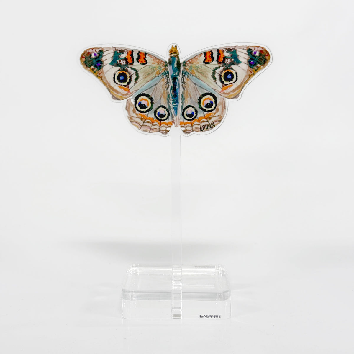 Floating Buckeye Butterfly