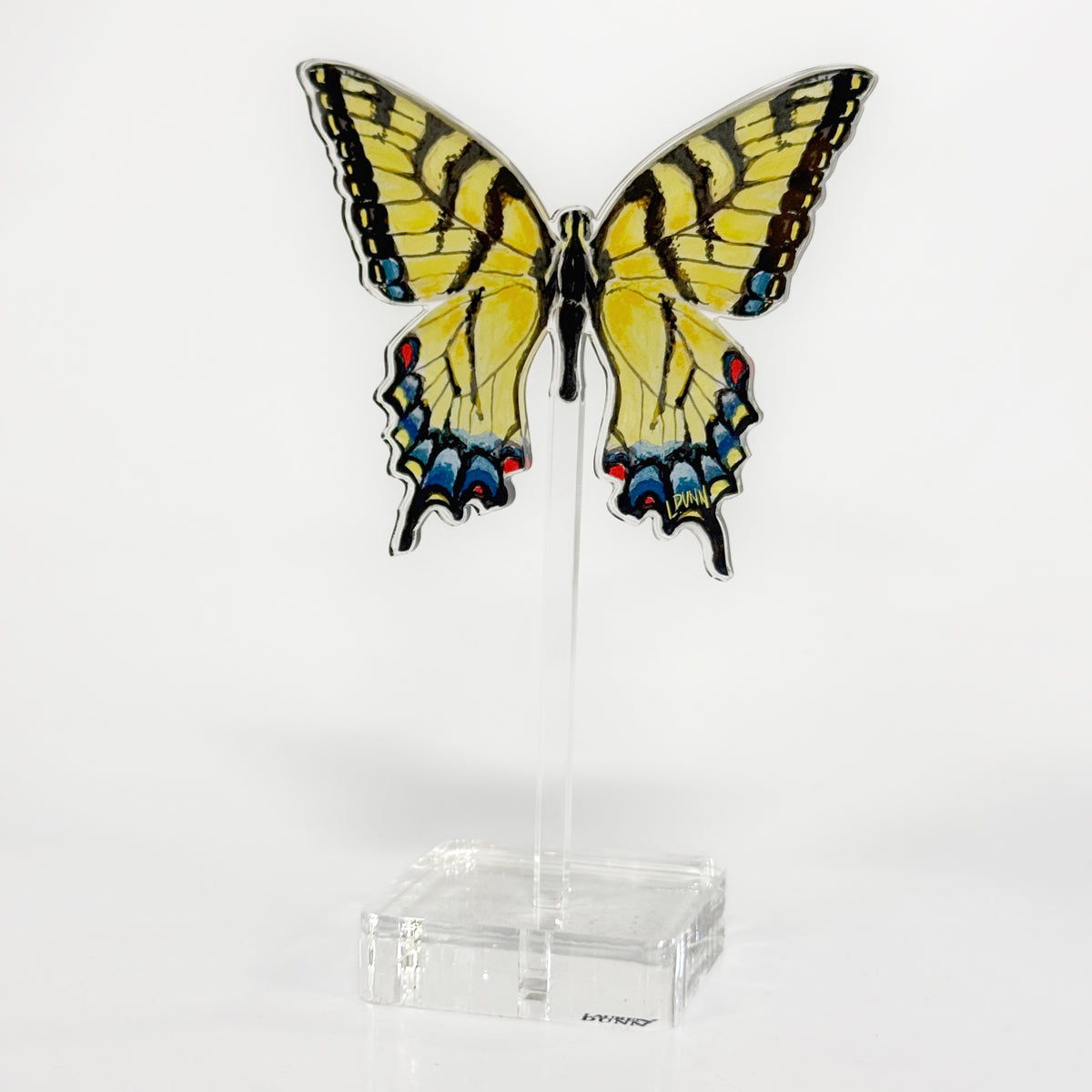 Floating Swallowtail Butterfly