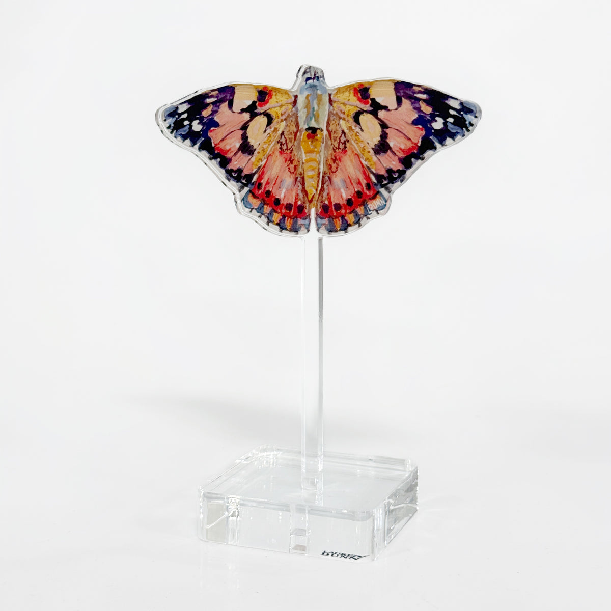 Floating Painted Lady Butterfly